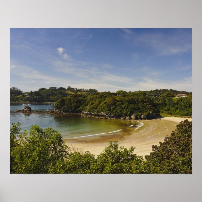 Poster Nouvelle-Zélande, Southland, Stewart Island, Halfm (Devant)