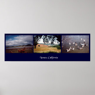 Poster Novato, Californie