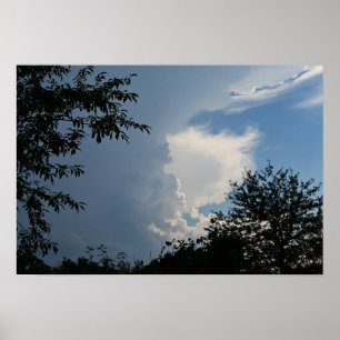 Poster Nuages et Arbres