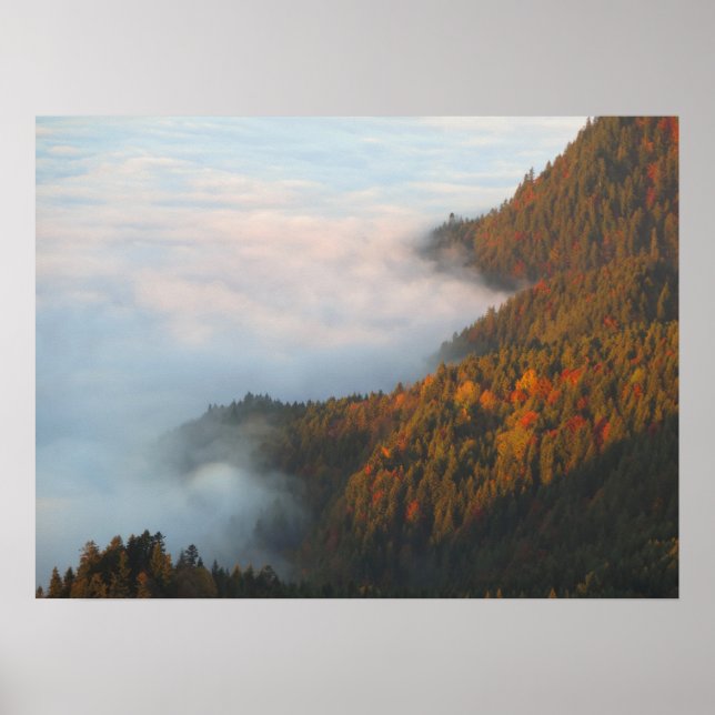Poster Nuages matinaux Pieniny (Devant)