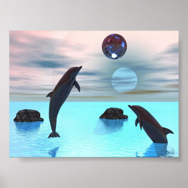 Poster Nuit des dauphins (Devant)