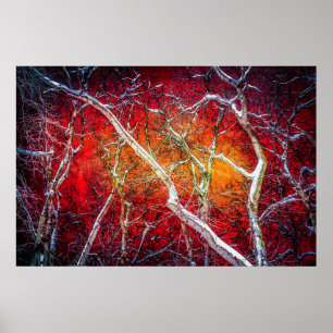 Poster Nuit d'hiver rouge