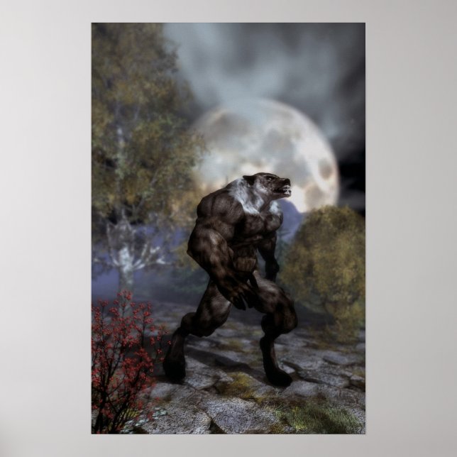 Poster Nuit Du Loup (Devant)