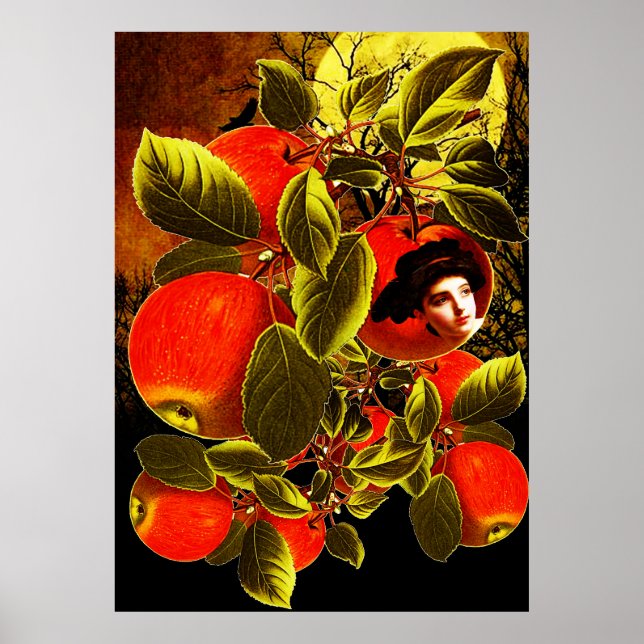 Poster Nuit lunaire (Devant)