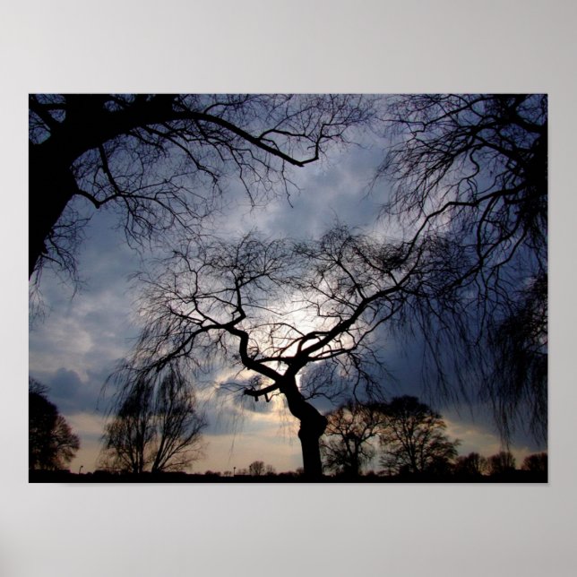 Poster Nuit mystique, Lune brille à travers les arbres Po (Devant)