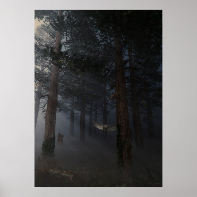 Poster Nuit silencieuse (Devant)