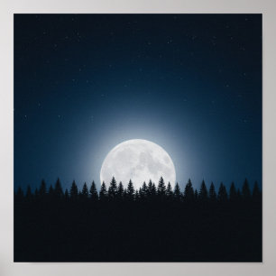 Poster Nuit Silencieuse : Pleine Lune Au-Dessus de la Sil