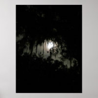 Nuitée noire