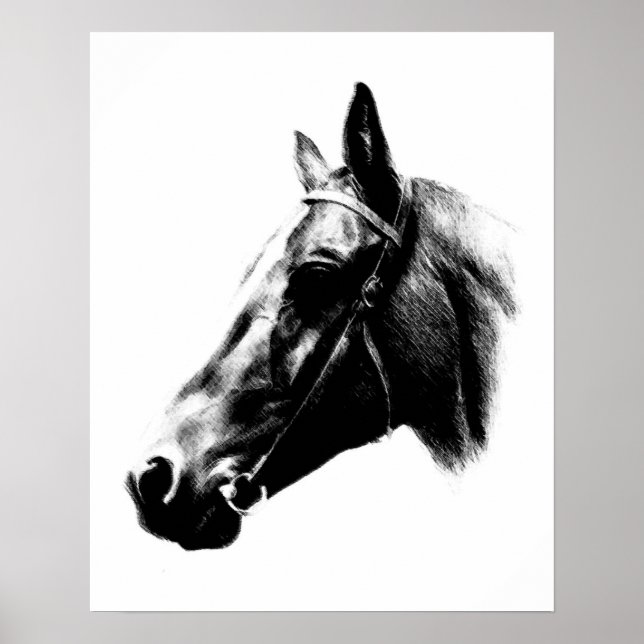 Poster numérique crayon noir blanc cheval (Devant)