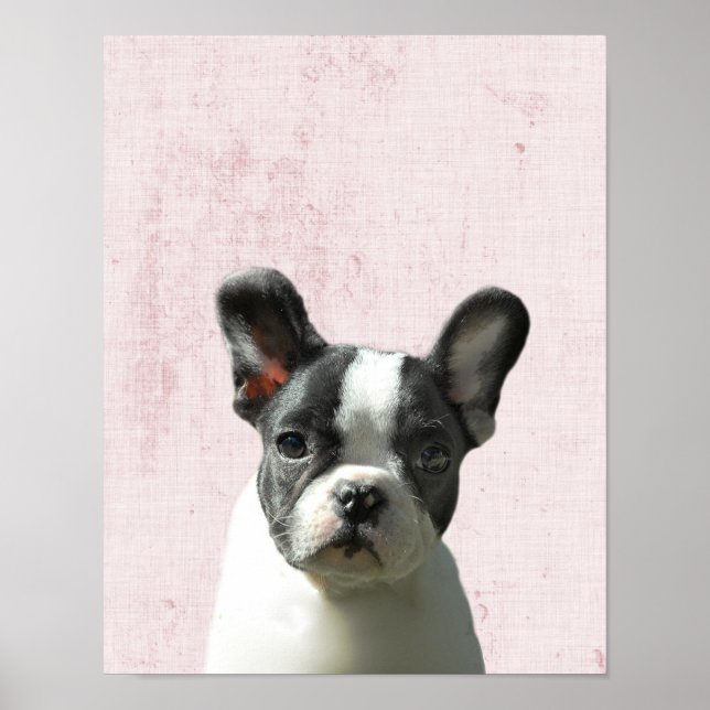 Poster Nurserie pastel rose pour chiot Boston Terrier Pee (Devant)