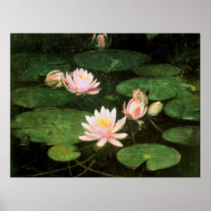 Poster Nymphéas, peinture artistique par Abbott Thayer
