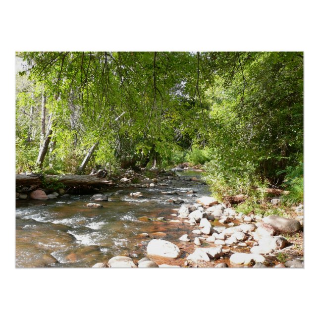 Poster Oak Creek II à Sedona Arizona Photographie nature (Devant)