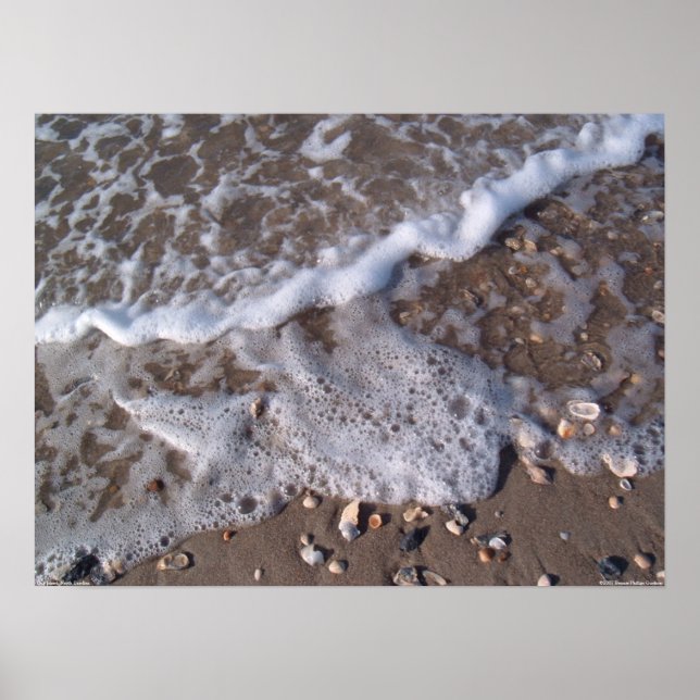 Poster Oak Island, Caroline du Nord - sable et coquillage (Devant)