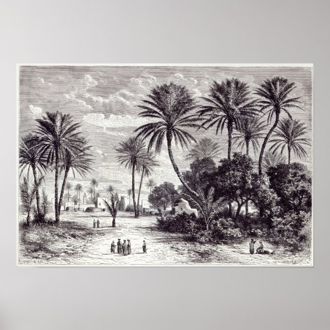 Poster Oasis de Gafsa : Tunis (Devant)