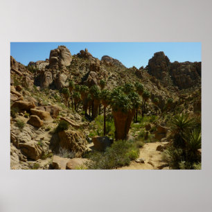 Poster Oasis de Lost Palms II au parc national de Joshua 