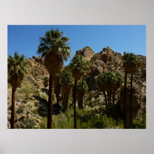 Poster Oasis Lost Palms I dans le Parc national de Joshua