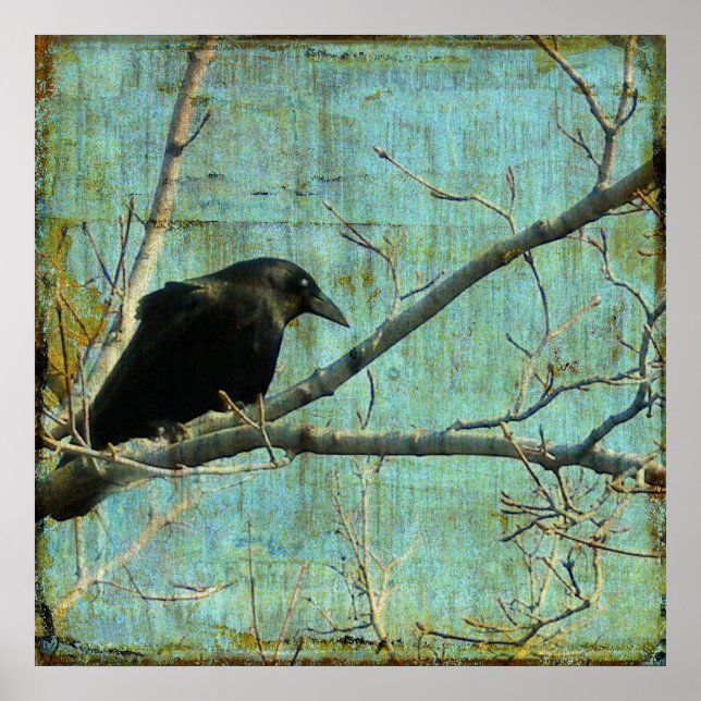 Poster Observateur (Devant)