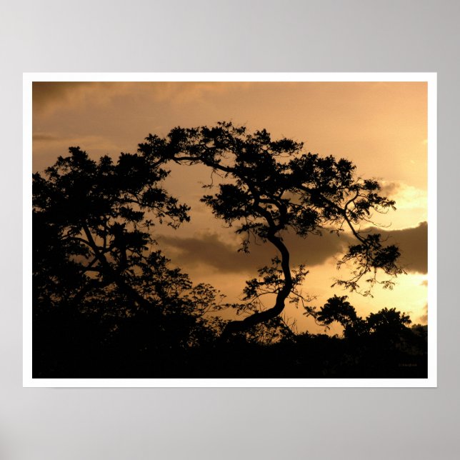 Poster observateur solaire (Devant)