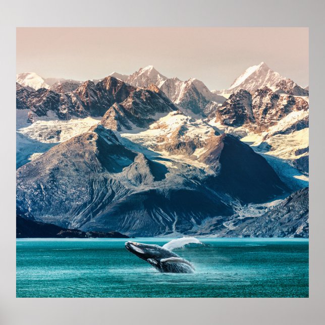 Poster Observation des baleines de l'Alaska : excursion e (Devant)