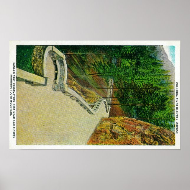 Poster Observatoire de nid d'aigle sur le fleuve Columbia (Devant)