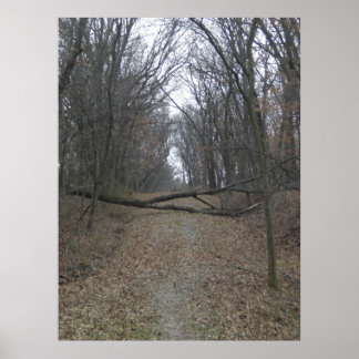 Poster Obstacle sur la route