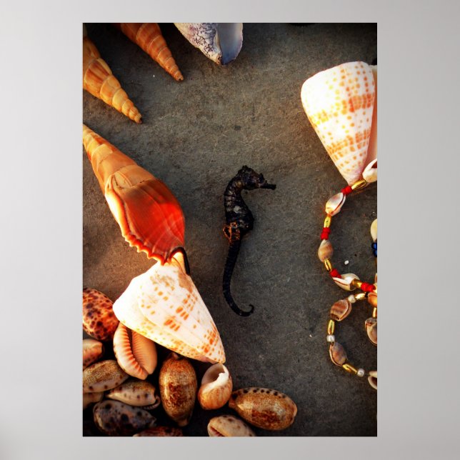 Poster obus (Devant)