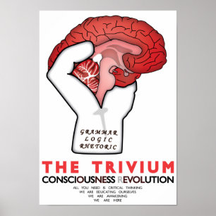 Poster Occupy Le Trivium