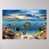 Océan Corail Reef Poisson tropical