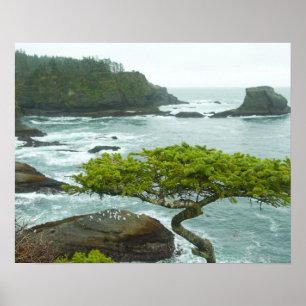Poster Océan et rivage rocheux de contrée lointaine