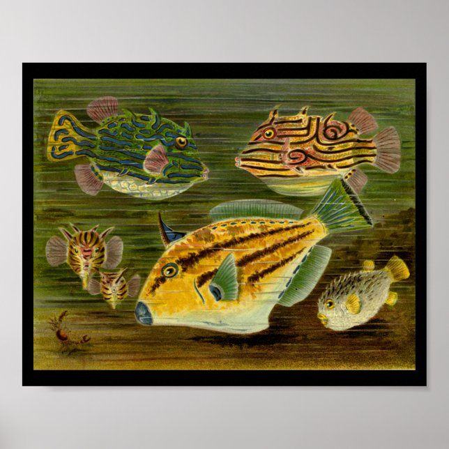 Poster Ocean Fish Yellow Green Blue Art Imprimer (Devant)