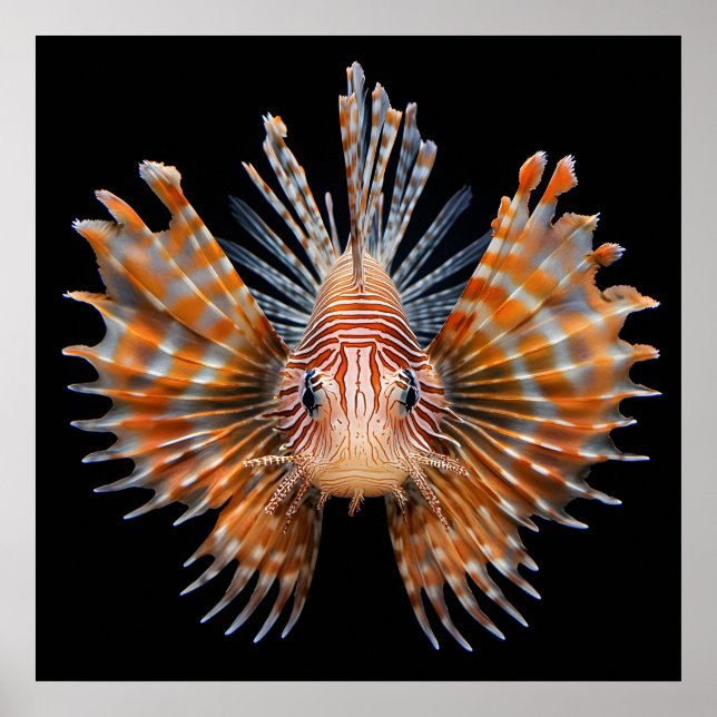Poster Ocean Life (Devant)