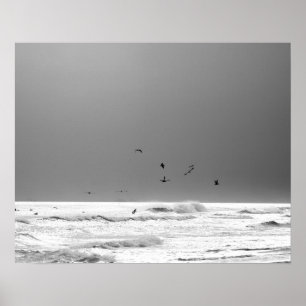 Poster Océan noir et blanc Horizon & Pélicans Brown 16x20