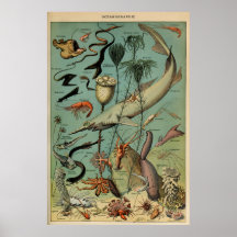 Oceanografia Adolphe Millot Le Larousse Pour Tous