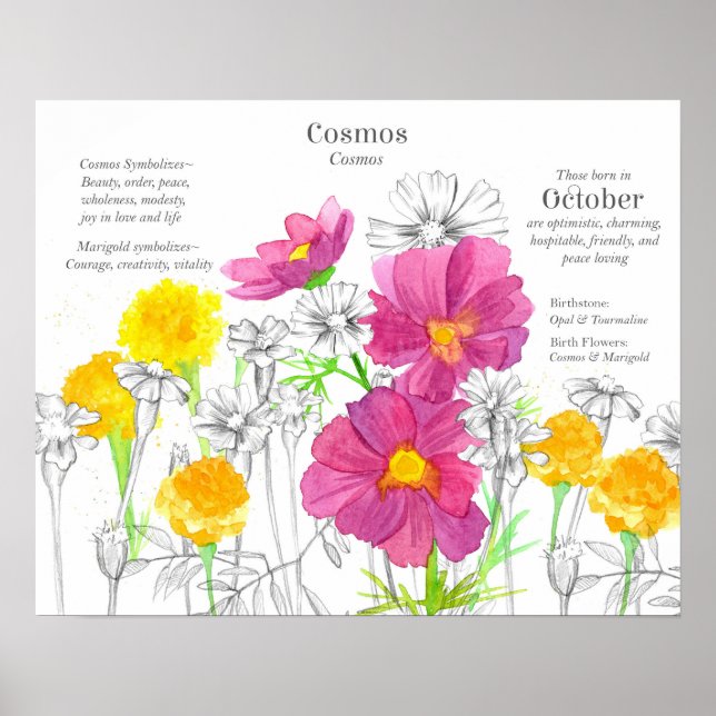 Poster October Birth Flower Language of Flowers Marigold (Devant)