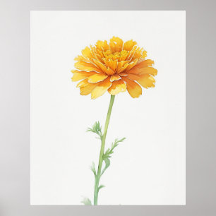 Poster Octobre Marigold Fleur de naissance