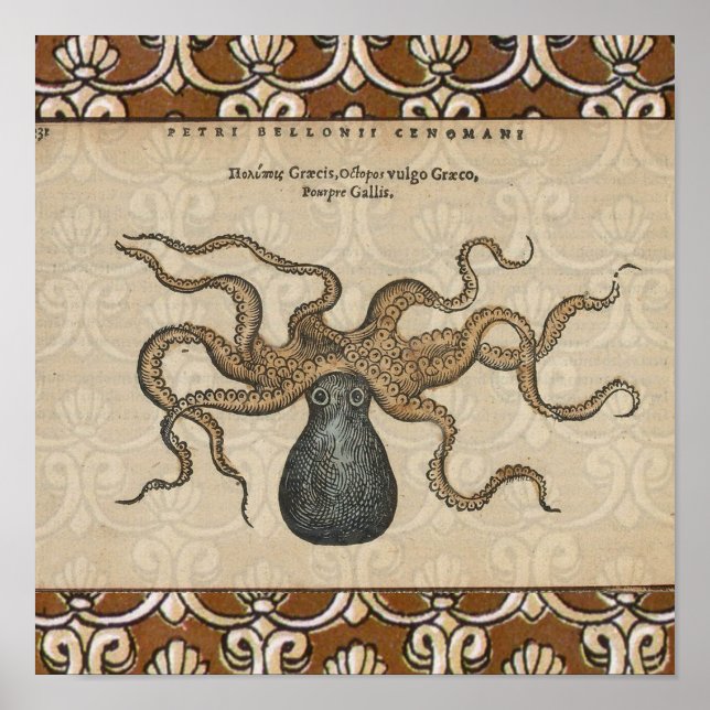 Poster Octopus Kraken Illustration Vintage (Devant)