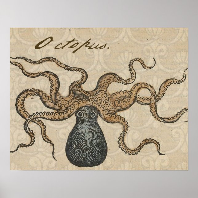 Poster Octopus Kraken Illustration Vintage (Devant)
