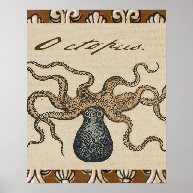 Poster Octopus Kraken Illustration Vintage (Devant)