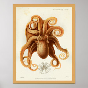 Poster Octopus Orange Cephalopod Mer Créatures Art Imprim