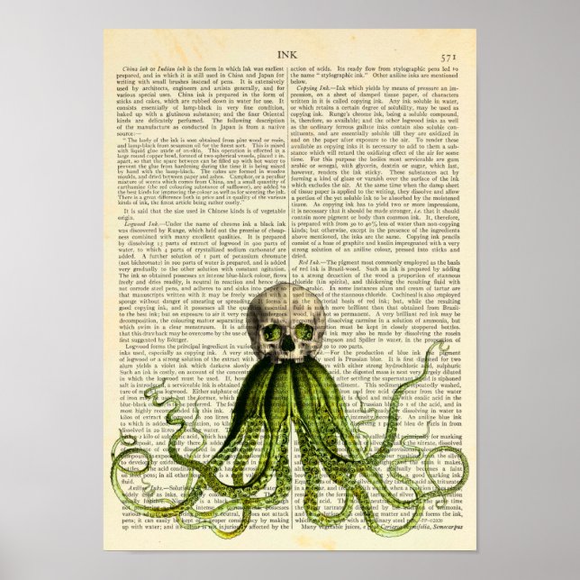 Poster Octopus portant un crâne, gothique, horreur, calma (Devant)