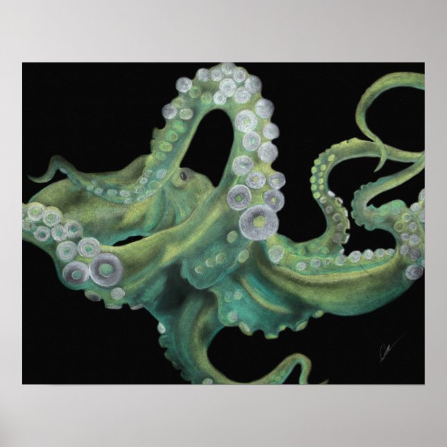 Poster Octopus vert 20 x 16 (Devant)