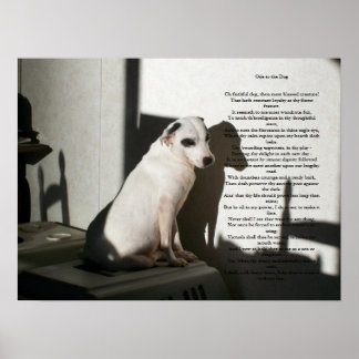 Poster Ode Au Chien