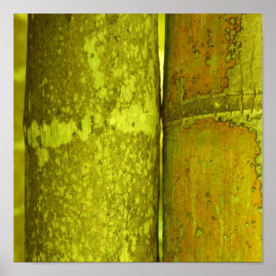 Poster Ode To Bamboo