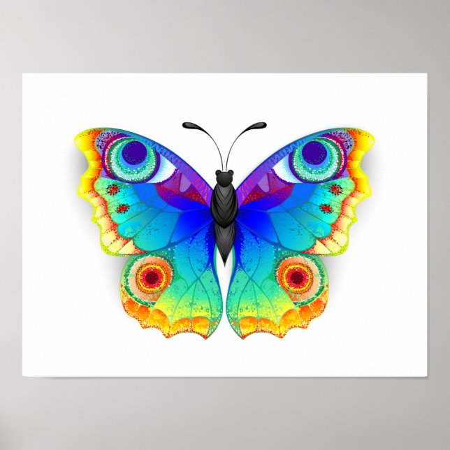 Poster Oeil de paon arc-en-ciel (Devant)