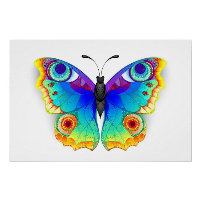 Poster Oeil de paon arc-en-ciel (Devant)