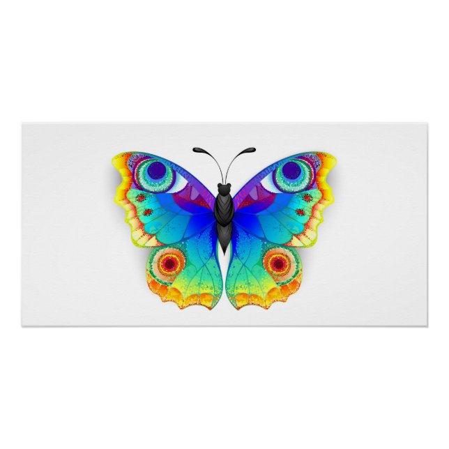 Poster Oeil de paon arc-en-ciel (Devant)