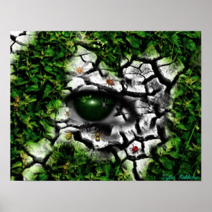 Poster Oeil d'insecte