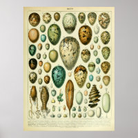 OEufs d'antiquité Décor d'intérieur d'art mur