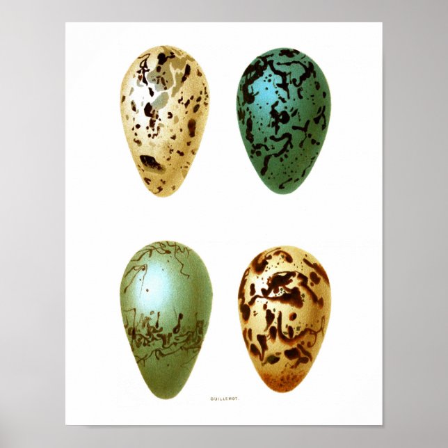 Poster OEufs d'antiquité Imprimer no 8 Décor de printemps (Devant)