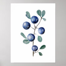 Oeuvre d'aquarelle aux fruits bleus